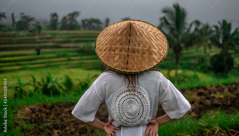 Albany Shaded forståelse Girl with conical hat in rice fields standing by the back on Bali,  Indonesia Stock Photo | Adobe Stock