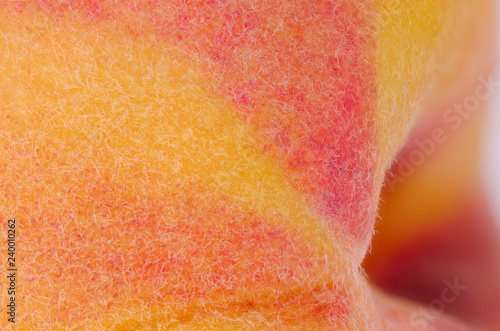 Wallpaper Mural Macro photography of the skin of an organic peach Torontodigital.ca