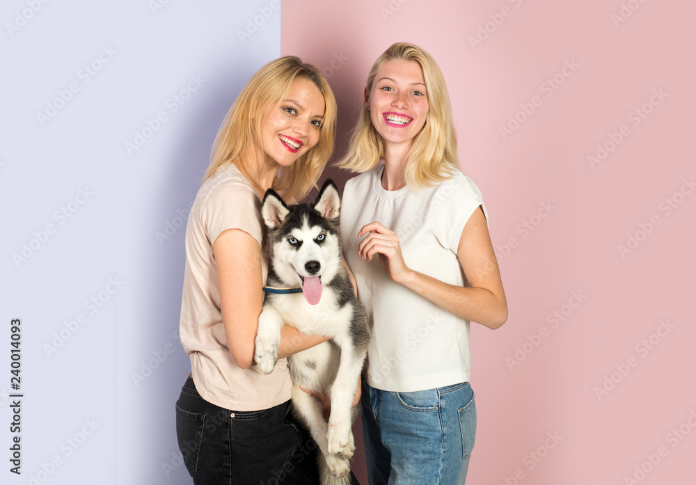 Its hard being this perfect. Sexy women with dog pet. Happy girls with sensual look. Pretty women hold pedigree dog. Husky dog with blue eyes and wolf like look. Happy sisters with family pet