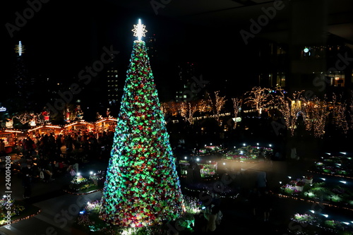 東京スカイツリーとクリスマスツリー