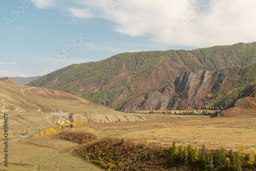 Plateau   Mountain Altai