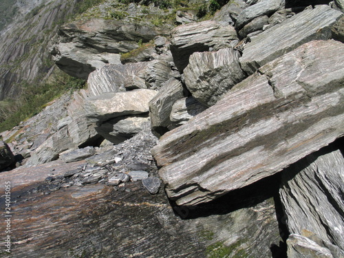 New Zealand. Nature  in Franz Joseph Glacier. Oceania