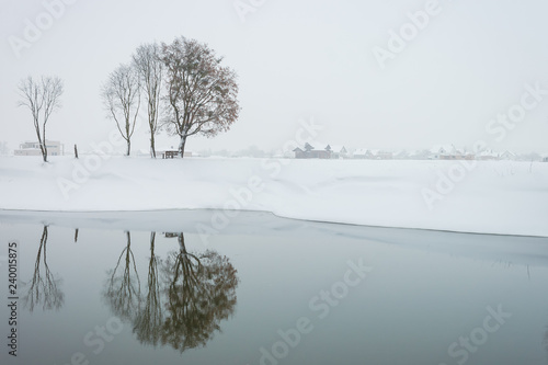 Reflection of a tree in the water of the winter river. Winter landscape