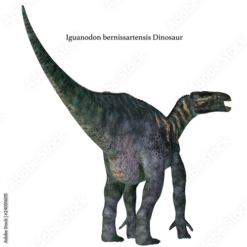 Iguanodon Dinosaur Tail with Font - Iguanodon was a herbivorous ornithopod dinosaur that lived in Europe during the Cretaceous Period.