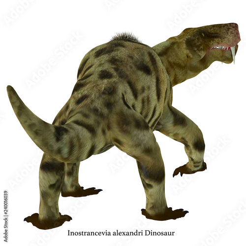 Inostrancevia Dinosaur Tail with Font - Inostrancevia was a carnivorous cat-like dinosaur that lived in Russia during the Permian Period.