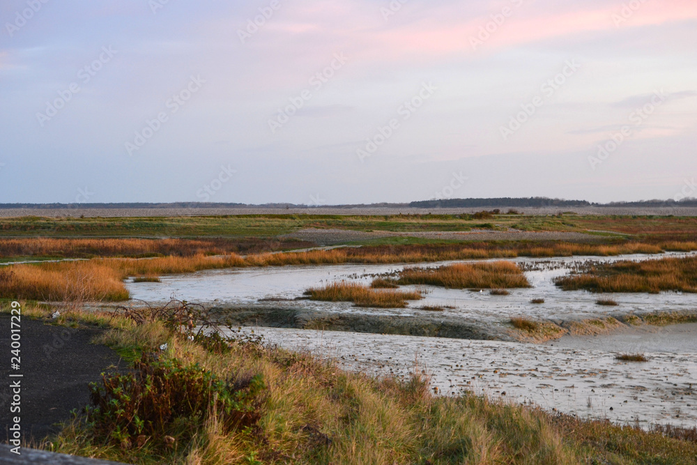 marais salant de la baie de Somme, vue du phare du Hourdel dans le nord de la France, herbes jaunes dorées dans le marais, Picardie marais salant de la baie de Somme, vue du phare du Hourdel dans le nord de la France, herbes jaunes dorées dans le marais, Picardie