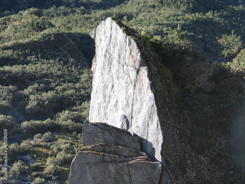 New Zealand. Nature  in Franz Joseph Glacier. Oceania photo