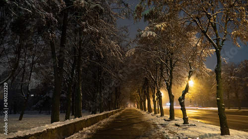 Alley. Winter night city Rivne Ukraine © Vidima studio MAX