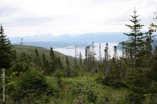 Gros Morne National Park Lookout Trail