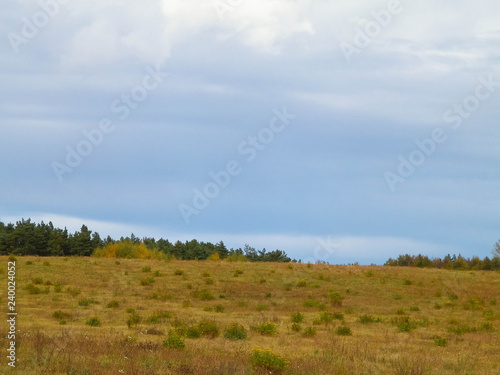 Autumnal field in cloudy day. Poland.