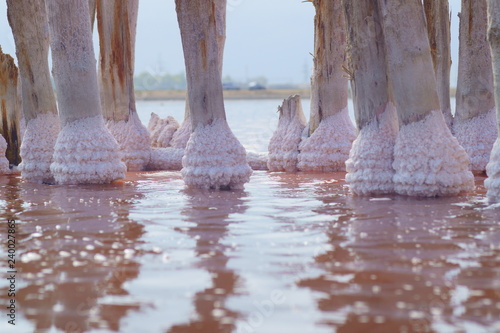 Sosyk unique lake with extremely saline water of red color photo