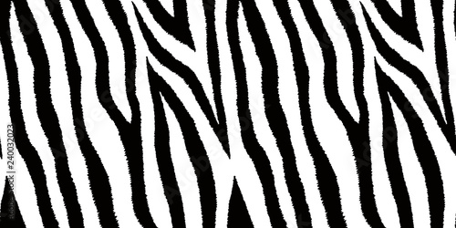 Seamless pattern with zebra fur print. Animal leather wallpaper. Vector illustration. 