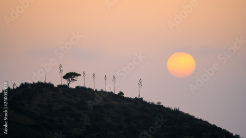 La Palma