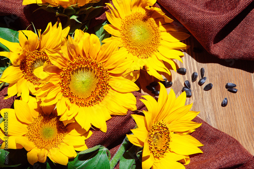 Fototapeta Naklejka Na Ścianę i Meble -  Bouquet of yellow sunflower flowers with black seeds