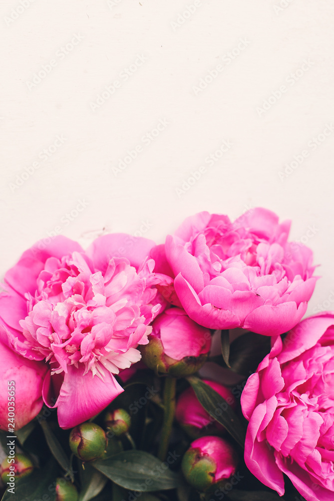 lovely pink peonies on rustic white wooden background, space for text. floral greeting card, flat lay. beautiful peony flowers, tender image. happy mothers or women day concept lovely pink peonies on rustic white wooden background, space for text. floral greeting card, flat lay. beautiful peony flowers, tender image. happy mothers or women day concept