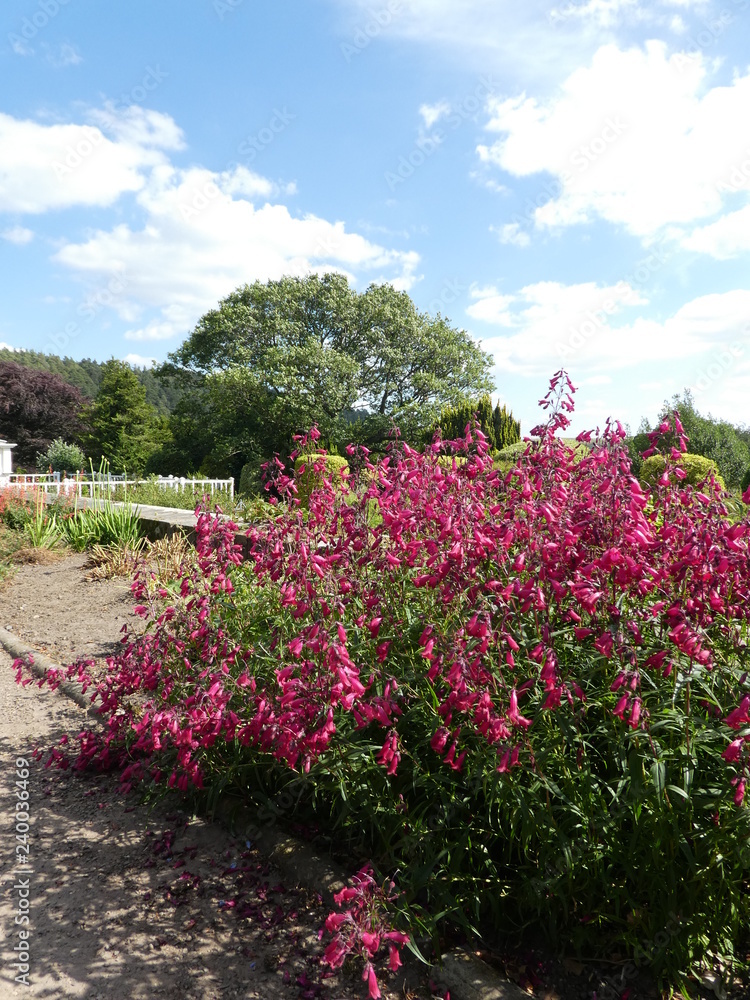 Obraz premium Rothbury One