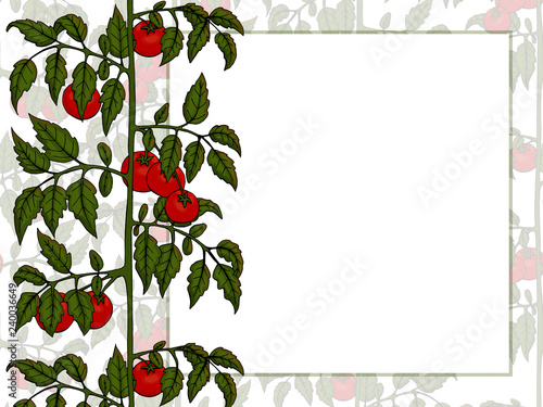 Template for your design. Bush tomato and blank for text. Hand-drawn. Vector illustration. For cafe menu, restaurant.