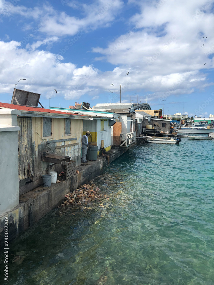 poor dilapidated houses portrait with trash and garbage in water nassau
