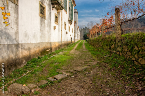 Access Road in Back of Sao Martinho Monastery, Tibaes, portugal © robert 