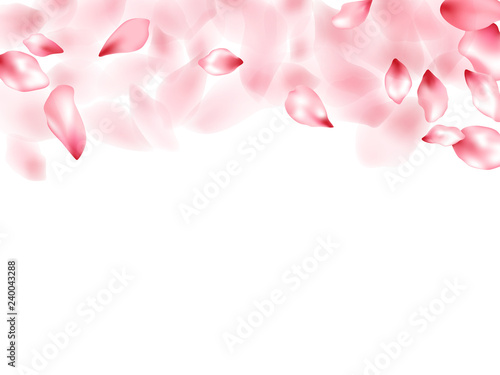 Pink sakura flower flying petals isolated on white vector background.