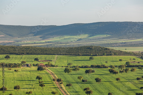 Cabañeros oaks landscape, Ciudad Real, Spain.