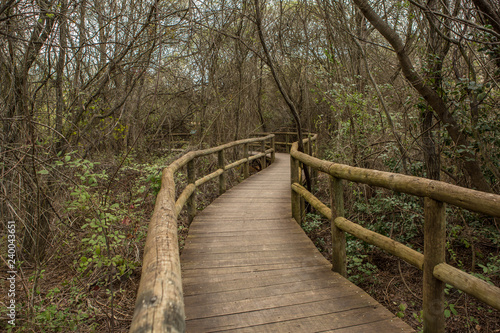 Wood bridge in Caba  eros National Park  Ciudad Real  Spain.