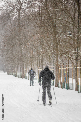 Narciarze w parku zimą