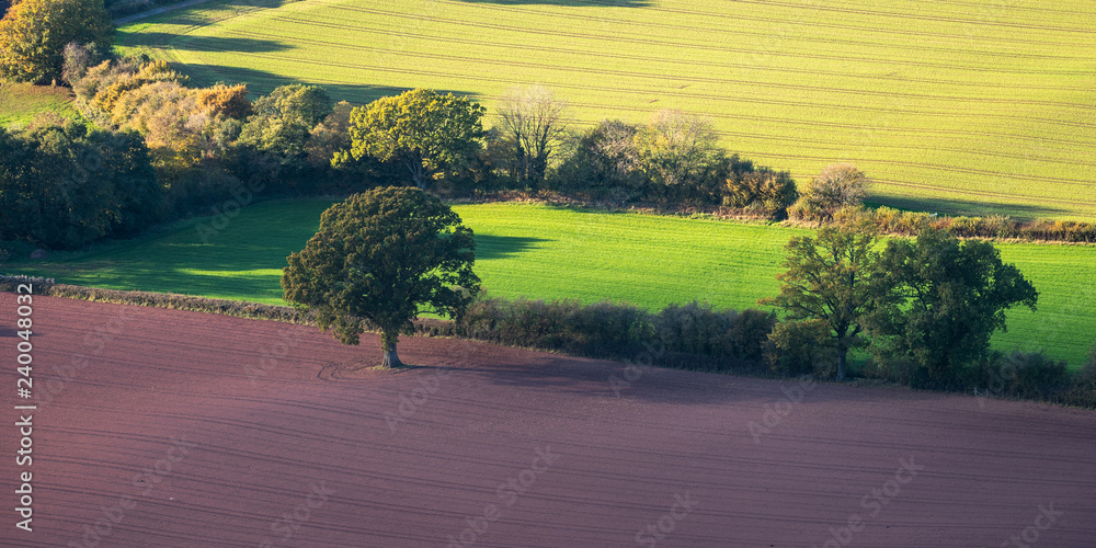 Fototapeta premium Fields.