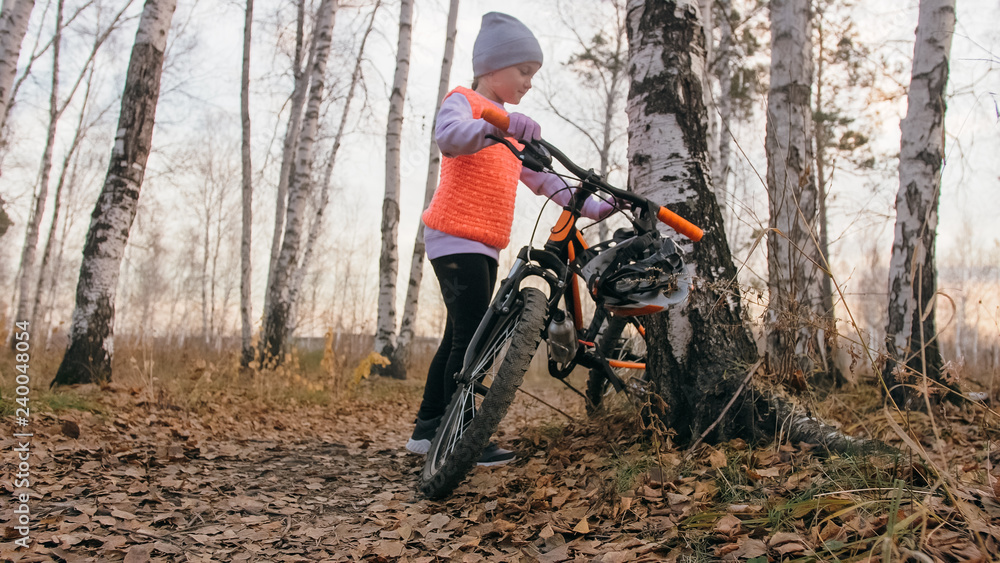 Naklejka premium One caucasian children walk with bike in autumn park. Little girl walking black orange cycle in forest. Kid goes do bicycle sports. Biker motion ride with backpack and helmet. Mountain bike hardtail.