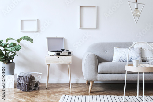 Stylish scandinavian white interior with design sofa, tropical plant, pillows, blanket, gramophone and mock up photo frames. White background walls, brown wooden parquet and modern triangle lamp. 
