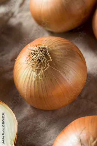 Raw Organic Yellow Sweet Onions