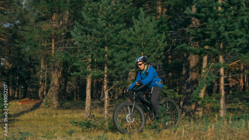 Fat bike also called fatbike or fat-tire bike in summer riding in the forest. The guy rides a bicycle among trees and stumps. He overcomes some obstacles on a bumpy road.