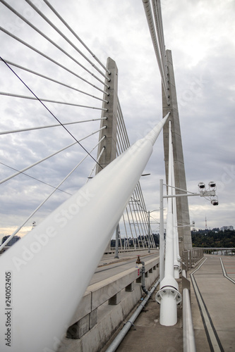 Tilikum Crossing Bridge photo