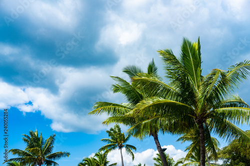 Wallpaper Mural Fiji Islands Treasures Torontodigital.ca