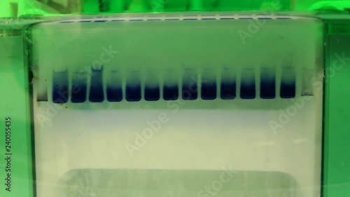 Electrophoresis experiment. Scientific technique for separation of proteins or genetic material. Bubbling and lanes with loading buffer. photo