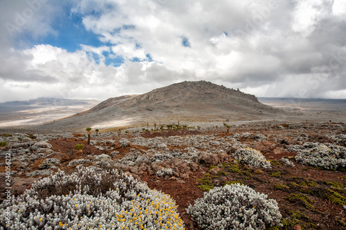Landscape on the Sanetti Plateau in the Bale Mountains National Park in Ethiopia The landscape is above 4000 meters with a highest point of 4377 meters. photo
