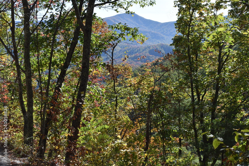 Obraz premium Smoky Mountains