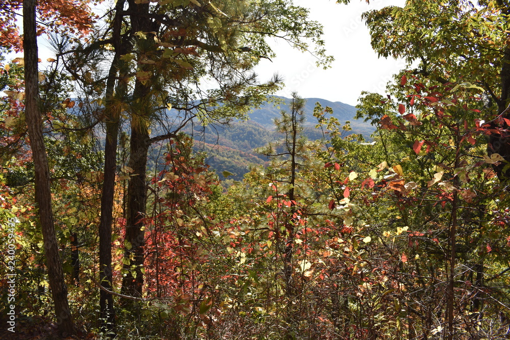Fototapeta premium Smoky Mountains