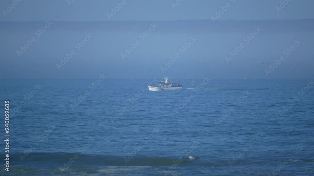 Fishing boat in distance on ocean returning to port followed by seagulls Fishing boat in distance on ocean returning to port followed by seagulls