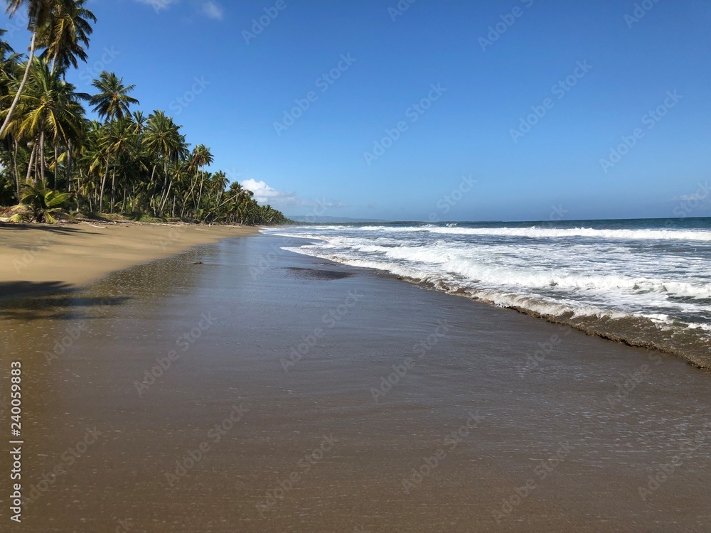 Ein wunderschöner Strand im norden der Dominikanischen Republik an einem fast wolkenlosen Tag mit blauem Himmel. im Hintergrund der Dschungel 