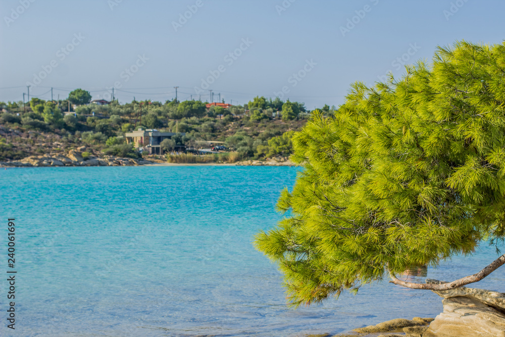 summer sea vacation and tourist agency concept photography of vivid colorful landscape with green cedar south tree above blue bay lagoon water surface and opposite island with small hostel villa house
