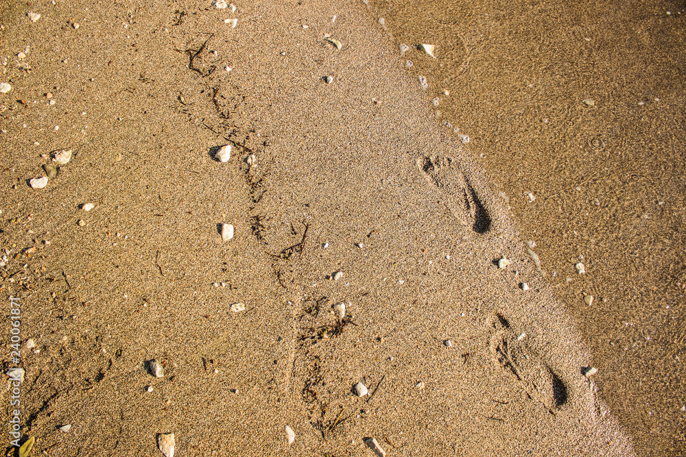 foot prints on sea sand and small stones shoreline background wallpaper texture surface near with water wave in summer bright yellow lighting foot prints on sea sand and small stones shoreline background wallpaper texture surface near with water wave in summer bright yellow lighting