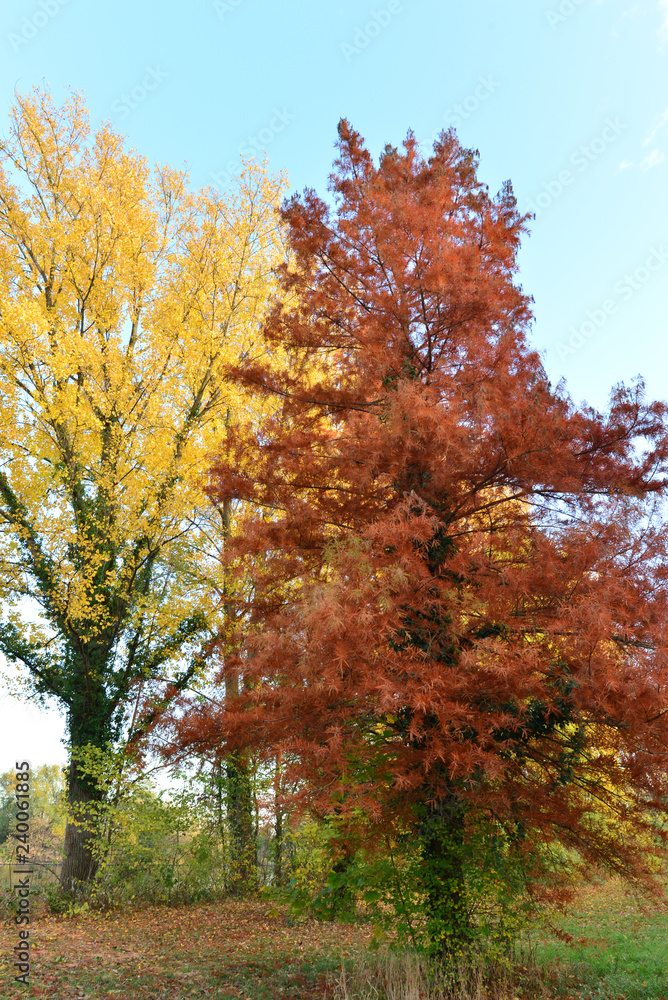 Herbststimmung in Hanau am Main