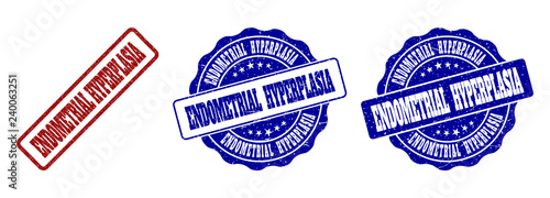 ENDOMETRIAL HYPERPLASIA scratched stamp seals in red and blue colors. Vector ENDOMETRIAL HYPERPLASIA labels with grainy effect. Graphic elements are rounded rectangles, rosettes,