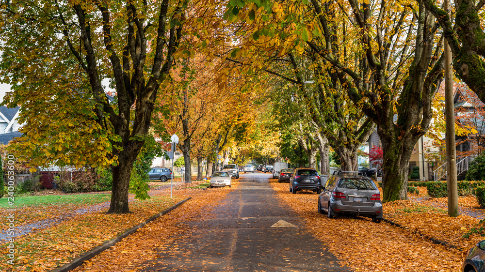 Naklejka premium Autumn onthe streets of Vancouver. Beautiful British Columbia, Canada.