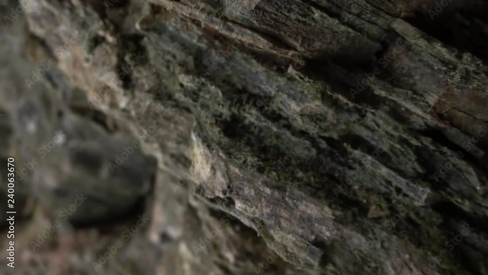 Slow motion macros tracking shot with shallow depth of field of rocky texture / cliff face Slow motion macros tracking shot with shallow depth of field of rocky texture / cliff face