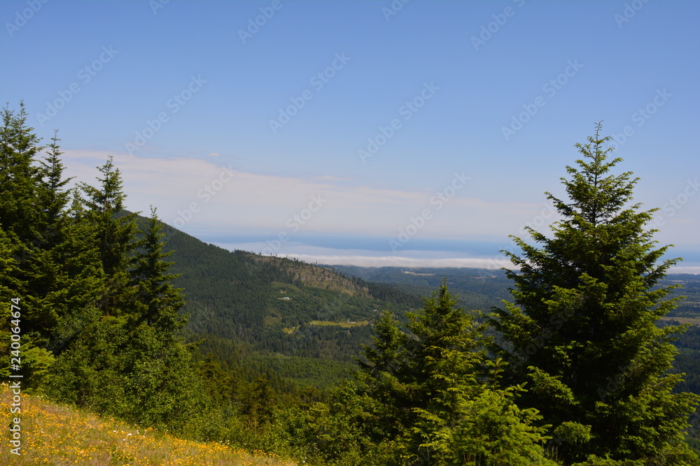 Rainier and Olympic Mountains