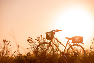Leinwandbilder Fahrrad Fahrrad in goldener Abendsonne  © Looker_Studio