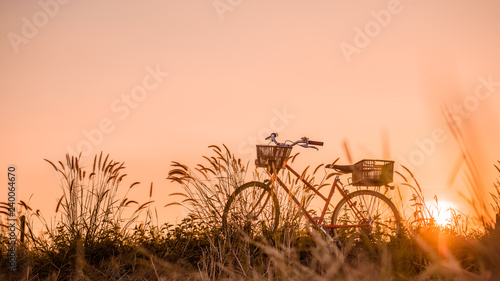 beautiful landscape image with Bicycle at sunset photo