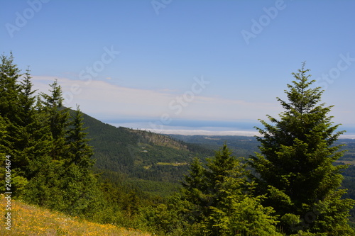 Rainier and Olympic Mountains